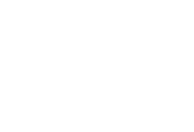 Winner Best Action Movie - Vegas Movie Awards