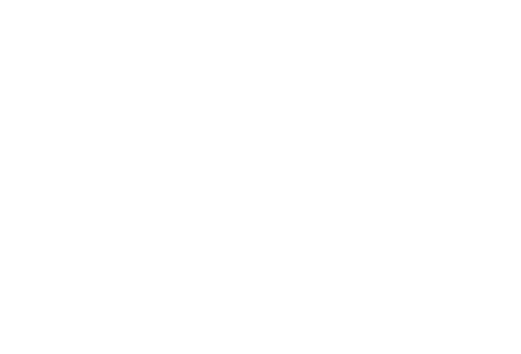 Calgary Underground Film Festival