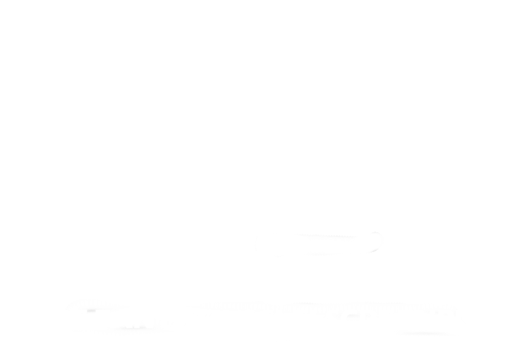 Winner Best Action Movie - Vegas Movie Awards